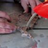 Кільцеріз Mechanic MultiCUT R-250
