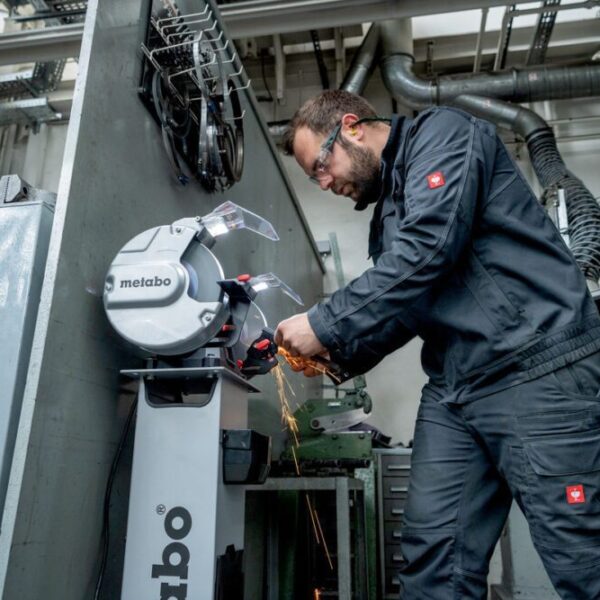 Точильний верстат Metabo DS 200 Plus