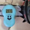 Бензопила ланцюгова Vitals Professional BKZ 2514r