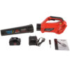 Повітродувка акумуляторна Vitals Master ALP 1850n BL Kit