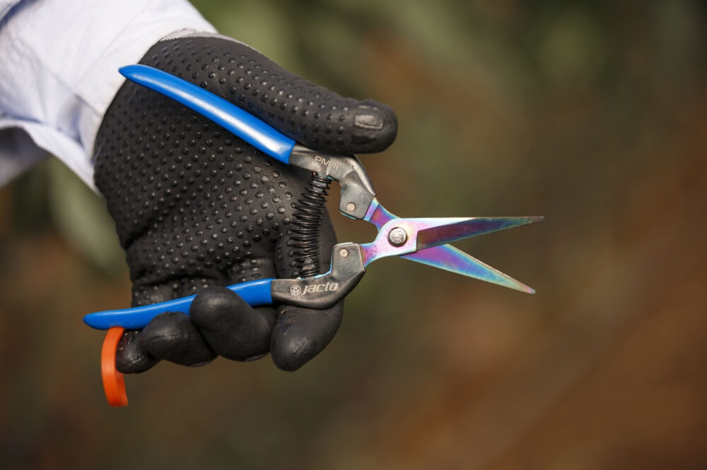 Ножниці для збирання урожаю Jacto PM-11 (10 см.)