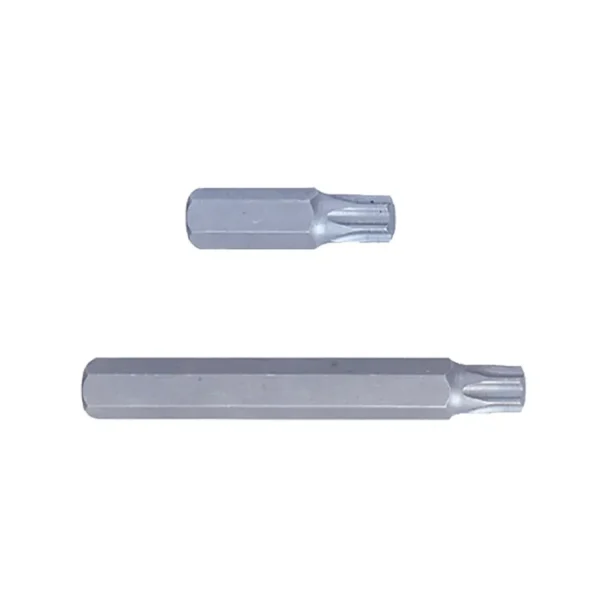 Біта торцева 10 мм TORX T40 (уп.12)