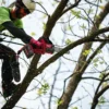Пила ланцюгова акумуляторна безщіткова MILWAUKEE, M18 FHS20-0, шина 20см (каркас, чохол, ланцюг, картонне пакуванння)