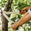 Сучкоріз площинний FISKARS White L32